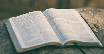 bible